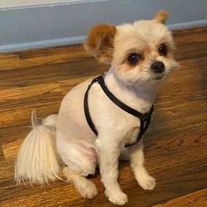 Meet your Posher, Kathy